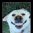 ���� �������, ��������-��-������, 48 ��� - ��������� 24 ���� 2014 � ������ ������ ��������