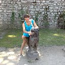 ���� ��������, �����-���������, 57 ��� - ��������� 30 ���� 2014 � ������ ���� ����������