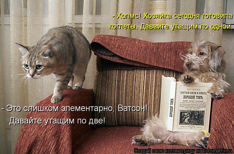 Alex Linadherent - 16  2014  13:15