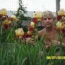 ���� ������, ����-���������, 55 ��� - ��������� 2 ��� 2014 � ������ ���� ����������