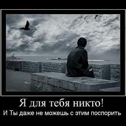 ���� �������, ����������, 62 ���� - ��������� 15 ���� 2014