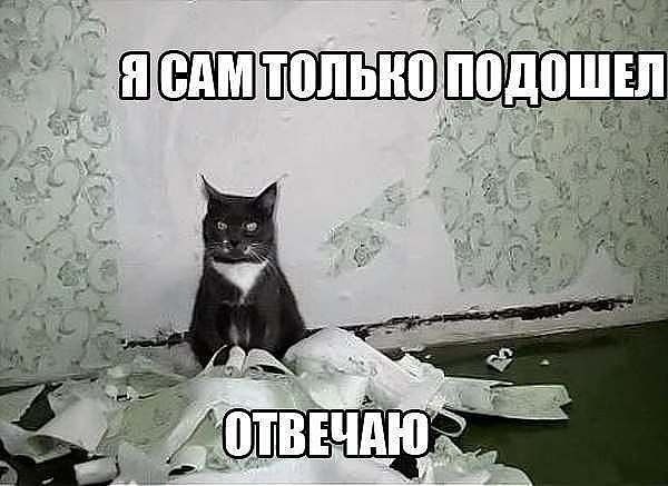   - 19  2014  20:49
