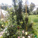 ���� ������, �����, 58 ��� - ��������� 16 ���� 2014