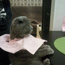 ���� ������, �������� - ��������� 25 ������ 2014 � ������ ���� ����������