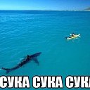 ���� �., ������ - ��������� 6 ���� 2014 � ������ ������ ��������