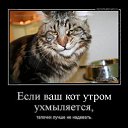���� �����, �����, 69 ��� - ��������� 1 ������ 2014 � ������ ������ ��������