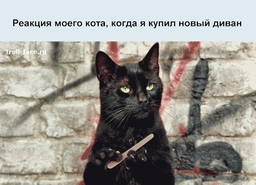  - 12  2014  16:03