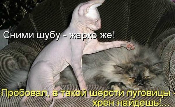   - 3  2014  21:21