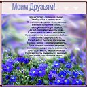 ���� ������, ������, 59 ��� - ��������� 6 ���� 2014 � ������ ������ ��������