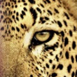 ���, �������, 27 ���