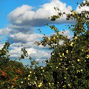 ������ 2014 �� ������� �"...�� ������ ������..."�