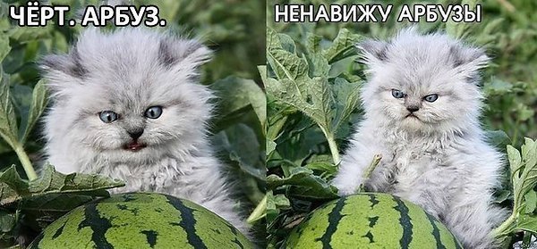   :3 - 5  2014  14:19
