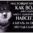 ���� �, ������������ - ��������� 29 ����� 2014 � ������ ���� ����������