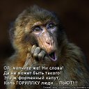 ���� ����������, �������, 43 ���� - ��������� 6 ������� 2014 � ������ ������ ��������