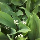 ���� �����, ��������, 64 ���� - ��������� 18 ��� 2014 � ������ ���� ����������