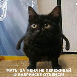 ���� ����, ������, 66 ��� - ��������� 6 ��� 2014