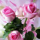 � ����� �������� ���� vk.com/fotiko �� ������� ��������� ���� � fotiko.ru�