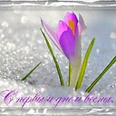 ���� ������, ������, 61 ��� - ��������� 17 ����� 2014 � ������ ���� ����������