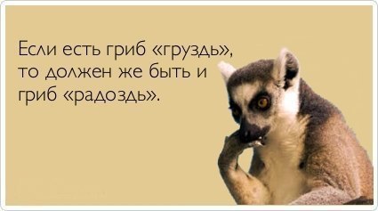   - 5  2014  03:09