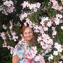 ���� �����, ���������, 62 ���� - ��������� 10 ������� 2014 � ������ ���� ����������