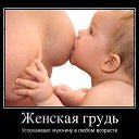 ���� ��������:))), ����������, 45 ��� - ��������� 16 ������ 2014 � ������ ������ ��������