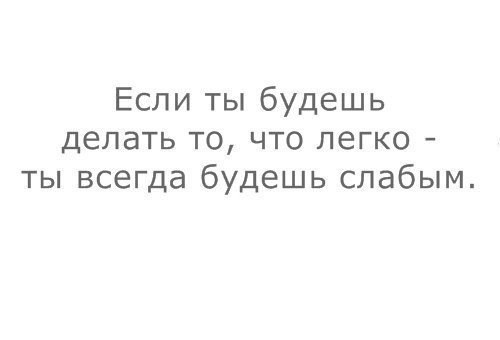 SportFeed - 12  2014  12:59