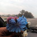 ���� ����, ���������, 53 ���� - ��������� 22 ������� 2014 � ������ �����