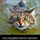 ���� �������, �������-����� - ��������� 29 ���� 2014 � ������ ���� ����������