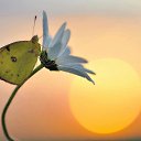 ���� �������, ��������, 55 ��� - ��������� 21 ������ 2014 � ������ ������ ��������