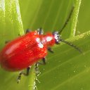 �� ��� �������� ��� ���� �����������
 �� ������� ���� ����������