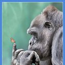  ,   -  13  2014    ?