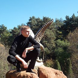 ������, ����������