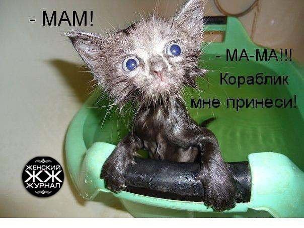 ))) - 2  2014  16:10
