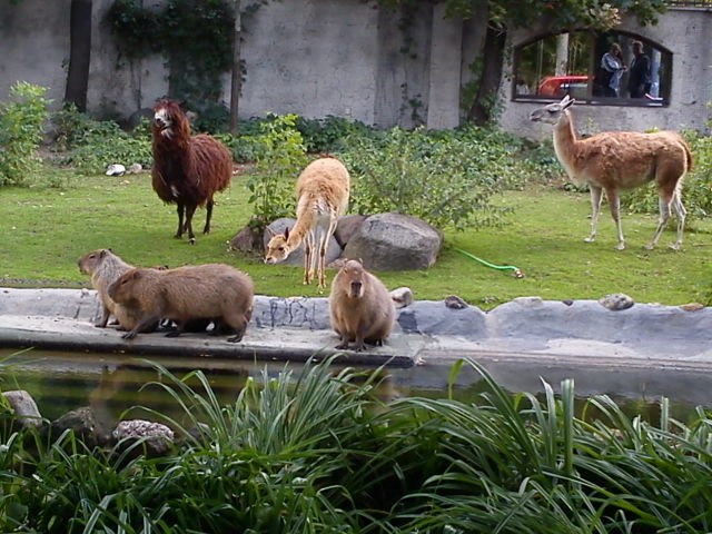  - 17  2014  20:46 - 8