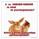 ���� �����, ������, 53 ���� - ��������� 25 ����� 2014 � ������ ������ ��������