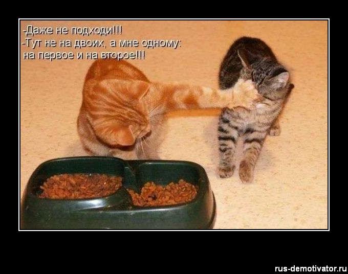 �������������� �� ���: <a href=