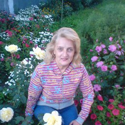 ���� ������, ������� - ��������� 16 ��� 2014