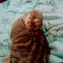 ���� �����, ���������, 56 ��� - ��������� 13 ������� 2014