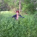 ���� �����, �������� - ��������� 4 ��� 2014 � ������ ������ ��������