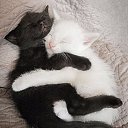 ���� ����, ����, 40 ��� - ��������� 14 ������ 2014 � ������ ������ ��������