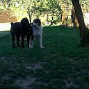  Alex.,   -  1  2014    