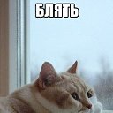 ���� Alex, ������, 34 ���� - ��������� 16 ����� 2014