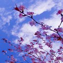 ��� �� ������� ���� ����������