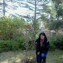 ���� ���� 2014 �� ������� ���� ����������