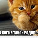 ���� ������, ��������� - ��������� 24 ���� 2014 � ������ ������ ��������