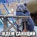 ���� �@ir, ������ ��������, 44 ���� - ��������� 24 ���� 2014 � ������ ������ ��������