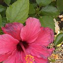 ���� I�na, ������ - ��������� 14 ���� 2014 � ������ ���� 2014 �. ����� ��������