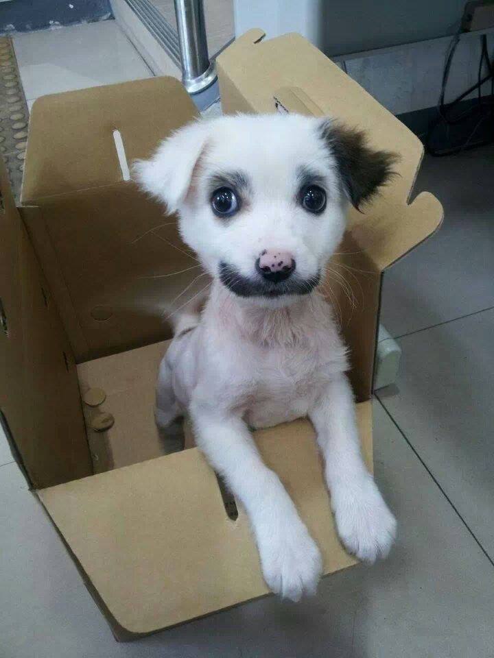    -  !