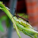 29.05.2014 �� ������� ������� ��������)))�