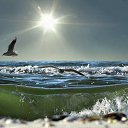 ���� �����, ������ - ��������� 15 ����� 2014 � ������ ���� ����������